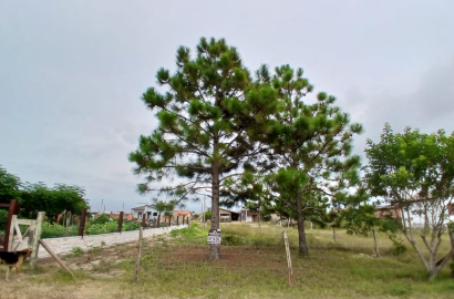 Terreno à Venda no bairro Jardim Ultramar Balneário Gaivota-SC Código 30