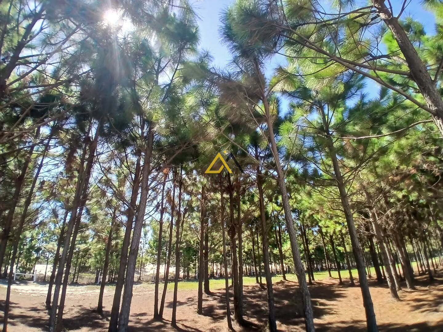 Loteamento Novo Jardim