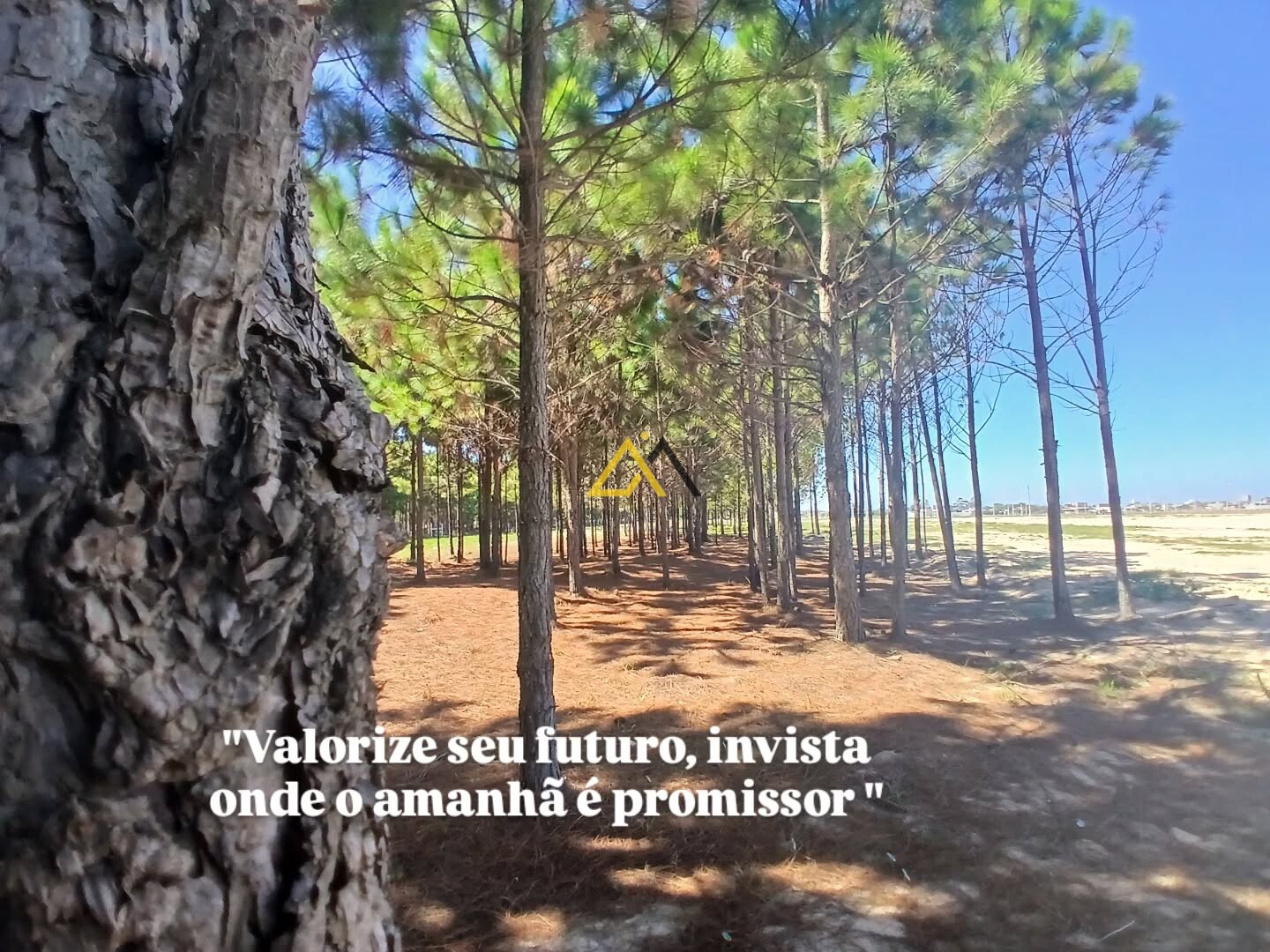 Loteamento Novo Jardim